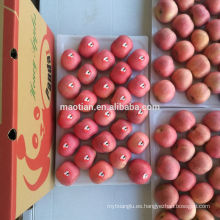 Tamaños medianos de manzana fuji roja fresca